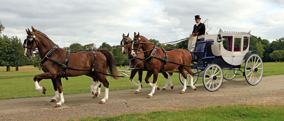 Haydn Webb Carriages glass coach and team