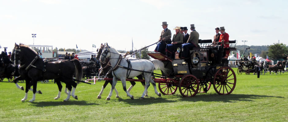 Newbury Royal County of Berkshire show champions