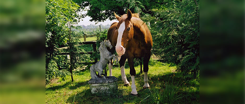 Haydn Webb Carriages Zeko horse and statue